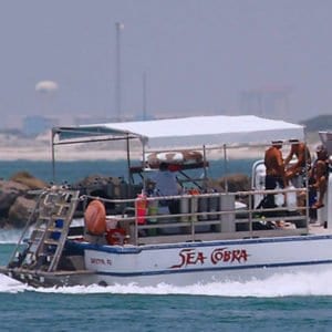 Sea Cobra - SCUBA diving