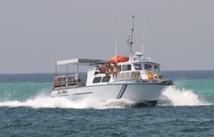 Sea Cobra Boat